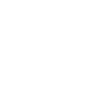 BYD Logo